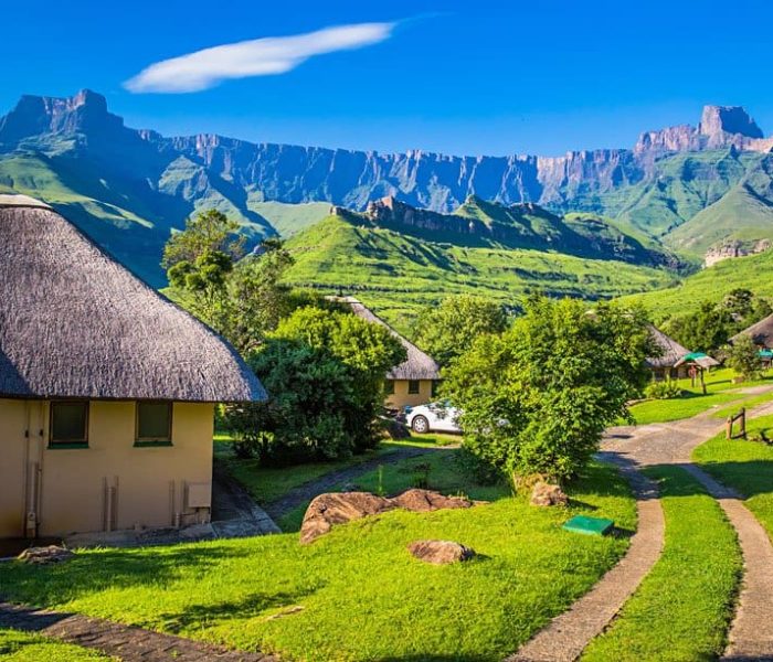 kwazulu natal moving company